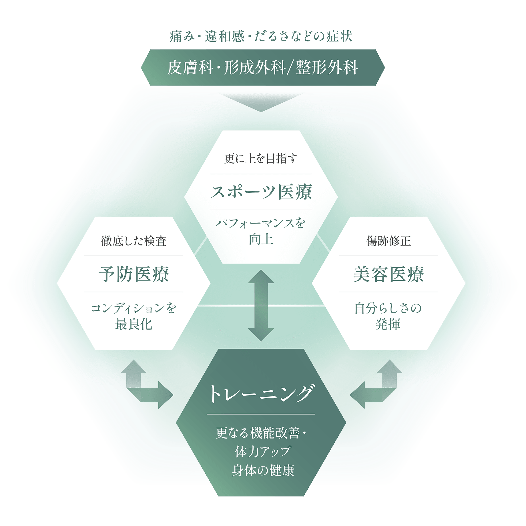 痛み、違和感、だるさ → 皮膚科・形成外科・整形外科 → スポーツ医療 (パフォーマンス向上) ↔ トレーニング (機能改善・体力アップ) ↔ 美容医療 (自分らしさの発揮) ← 予防医療 (コンディション最適化)。身体の健康を多角的にサポートする概念図。