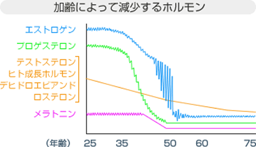 加齢によって減少するホルモンを表した図